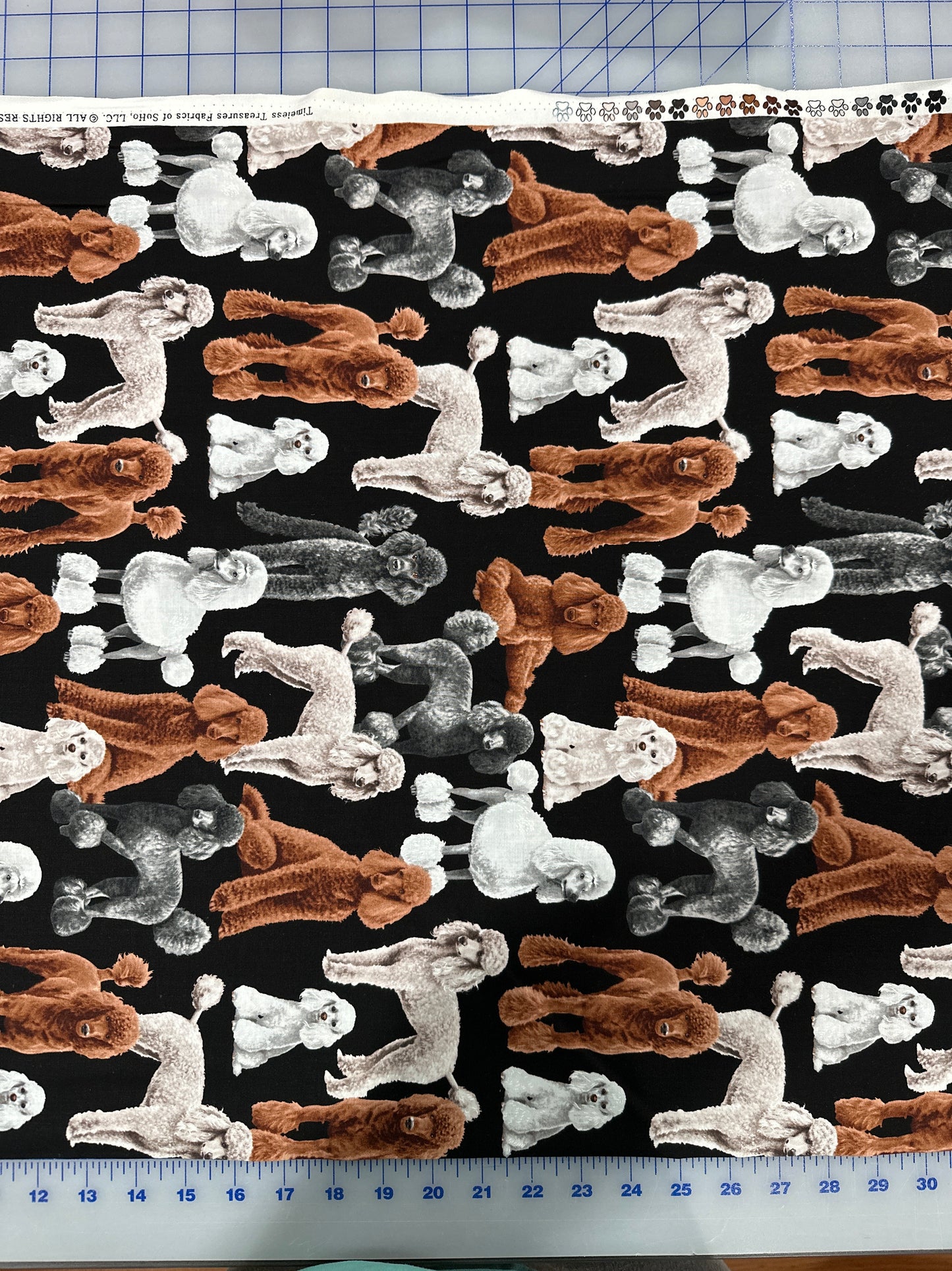 Poodles by Timeless Treasures