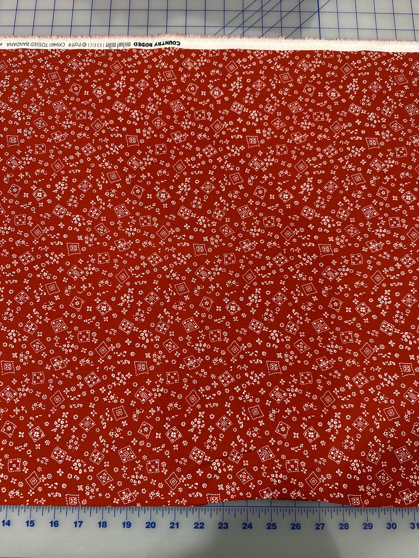 Courtney Rodeo - Home On The Range by Michael Miller Fabrics