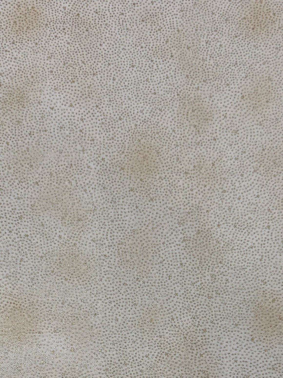 Christmas is Near by Stof Fabrics MCS 21-16