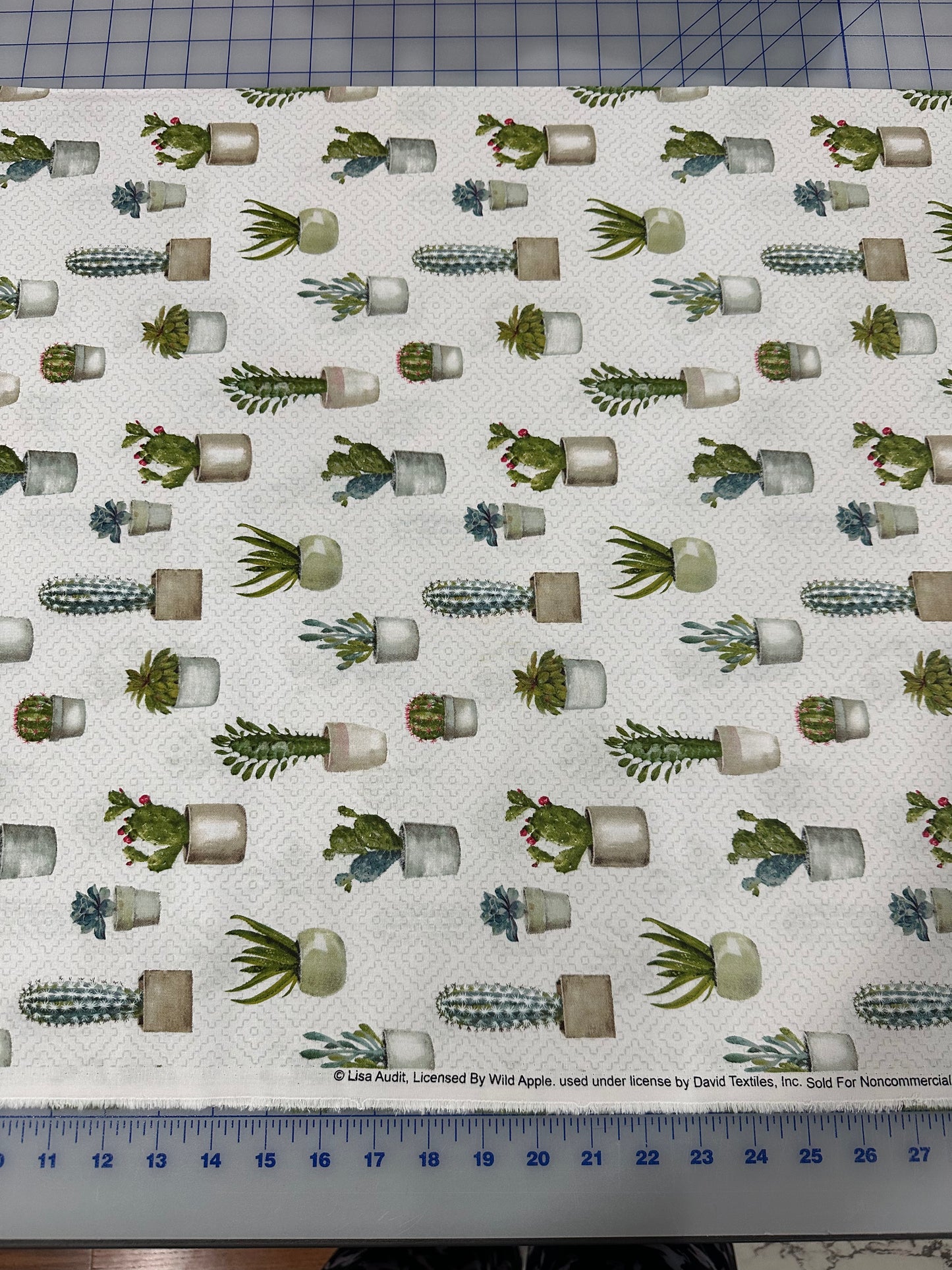 Cacti by Lisa Audit -Wild Apple for David Textiles