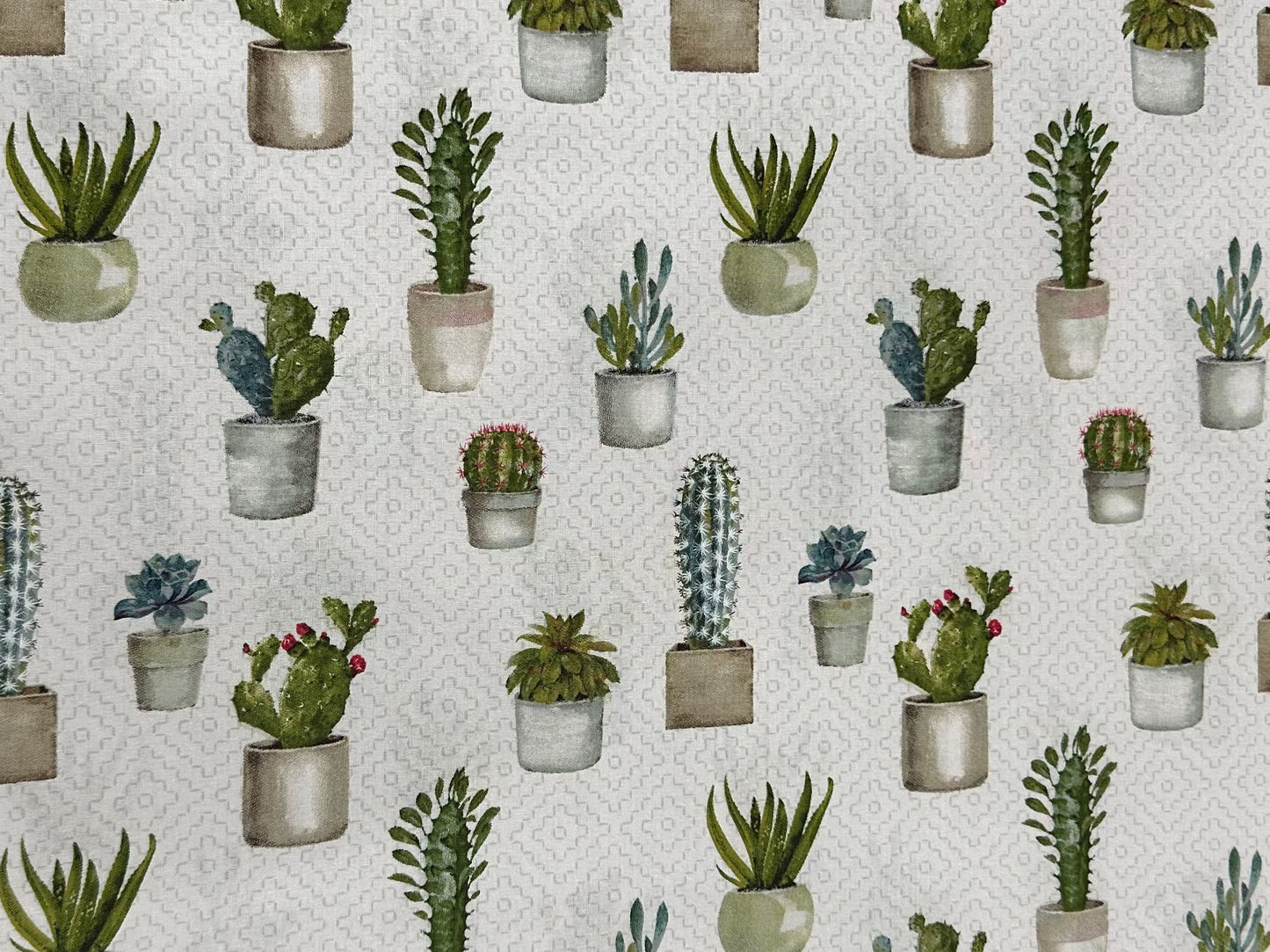 Cacti by Lisa Audit -Wild Apple for David Textiles