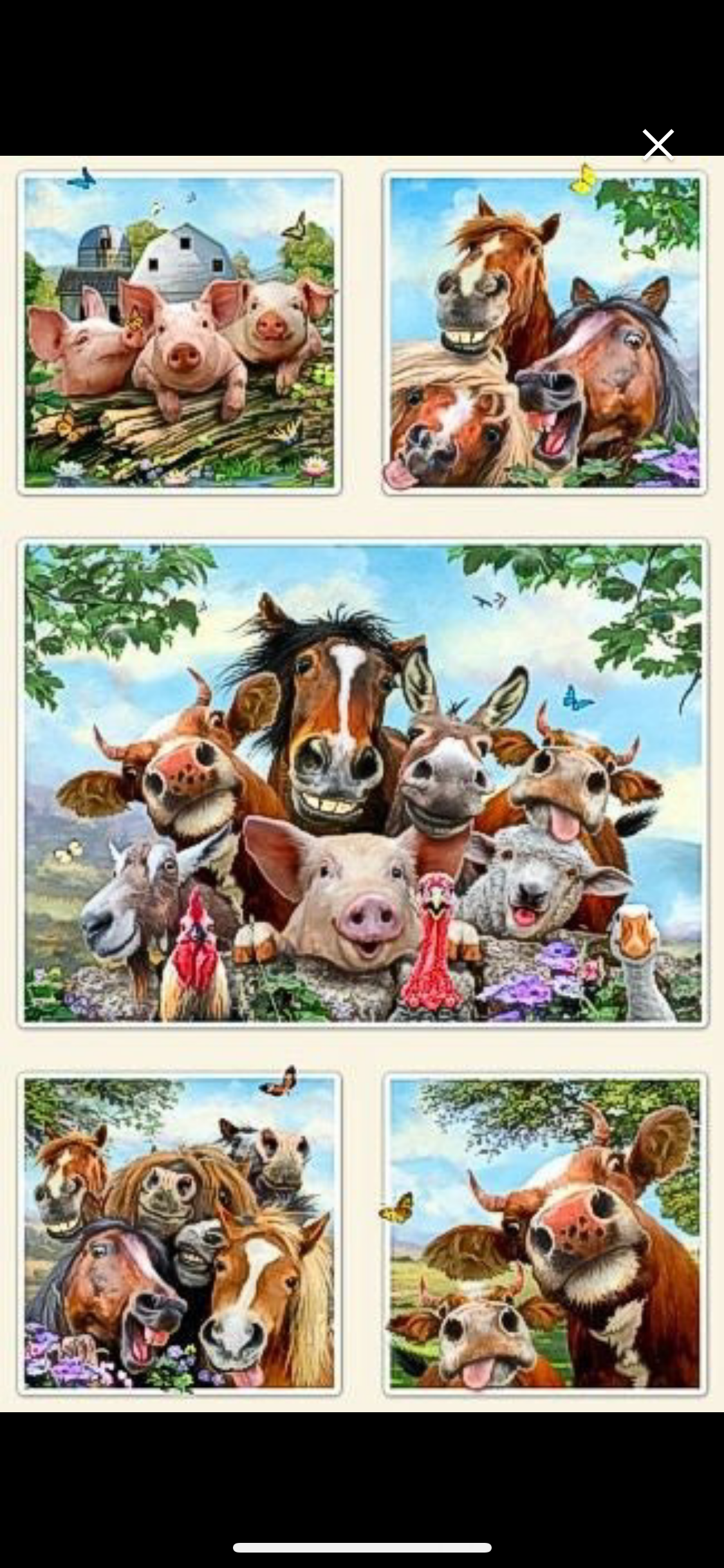 Farm Selfies panel by Elizabeth Studios